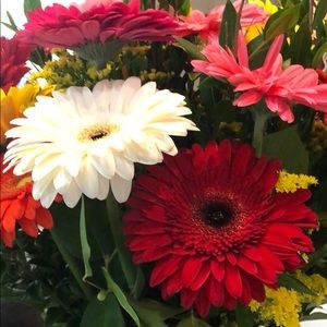 Meet your Posher, Julie